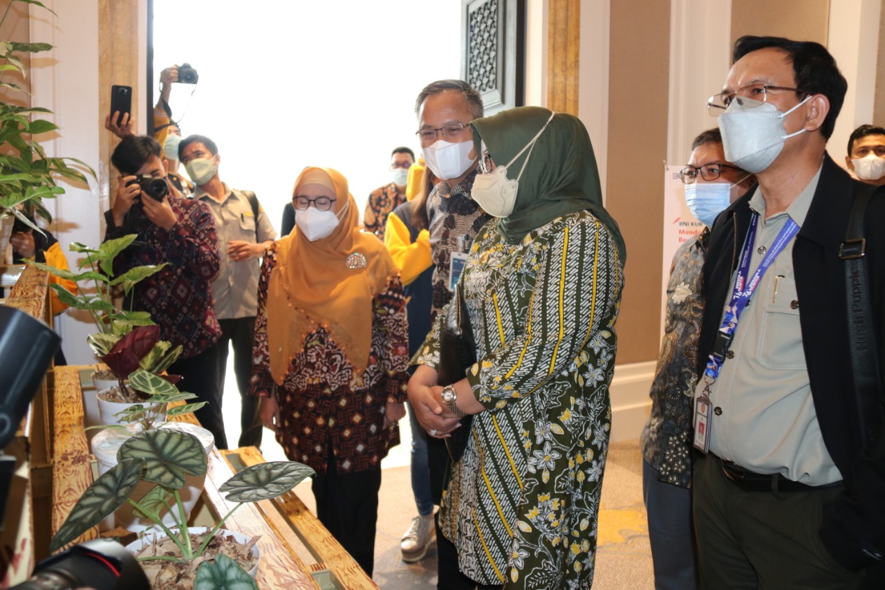 Wow! Omzet Ekspor Tanaman Hias Di Kabupaten Bogor Capai Rp300 Juta Perhari