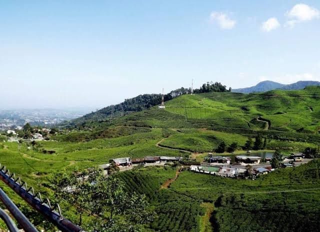 Jelang Nataru, Wisatawan Buru Hotel dan Villa di Kawasan Puncak