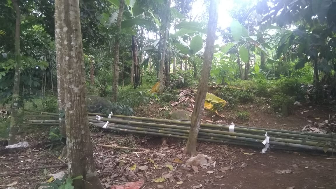 Proyek Bendungan Ciawi Gusur Ratusan Makam
