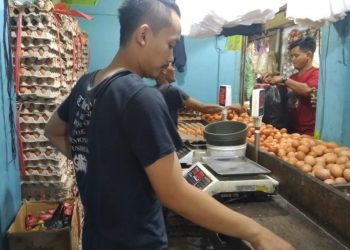 Harga Meroket, Daya Beli Telor Menurun