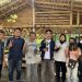 Mahasiswa IPB Bantu Warga Tingkatkan Budidaya Anggur