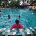 The Jungle Berikan Harga Khusus Bagi Warga Jabodetabek, Ini Syaratnya! 