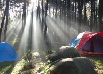 Gunung Pancar Suguhkan Keindahan Alam Yang Sejuk