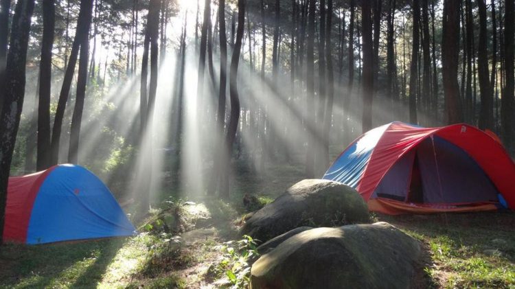 Gunung Pancar Suguhkan Keindahan Alam Yang Sejuk