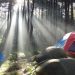 Gunung Pancar Suguhkan Keindahan Alam Yang Sejuk