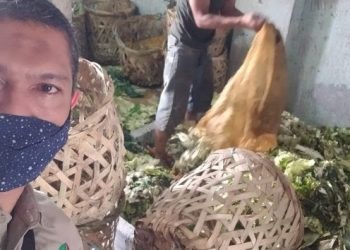 Perumda PPJ Olah Sampah di Pasar Jadi Magot