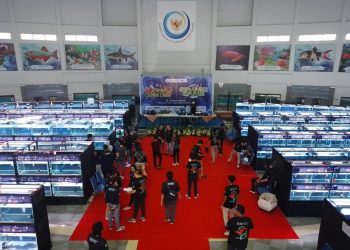 Aquafest FPIK-IPB 2022 Diikuti Peserta Dari Berbagai Daerah
