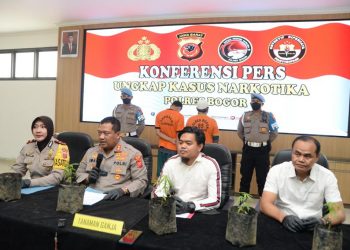 Tanam Ganja, Dua Pria Diamakan Polisi