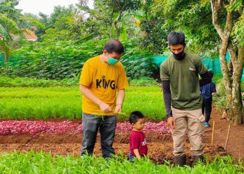 Lulus Dari Polbangtan Kementan, Petani Milenial Ini Sukses Kembangkan Pertanian Organik