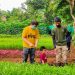 Lulus Dari Polbangtan Kementan, Petani Milenial Ini Sukses Kembangkan Pertanian Organik