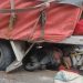 Akibat Mati Mesin, Sebuah Truk Mundur dan Gencet Sepeda Motor Hingga Ringsek