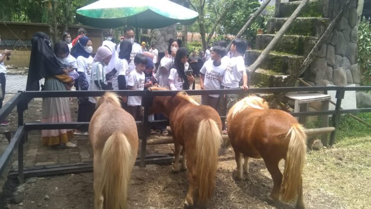 Edukasi Satwa Hotel Safari Garden Tak Bikin Kantong Bolong 