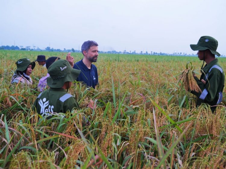 Hadir di Indonesia, Presiden IFAD Apresiasi Regenerasi Petani
