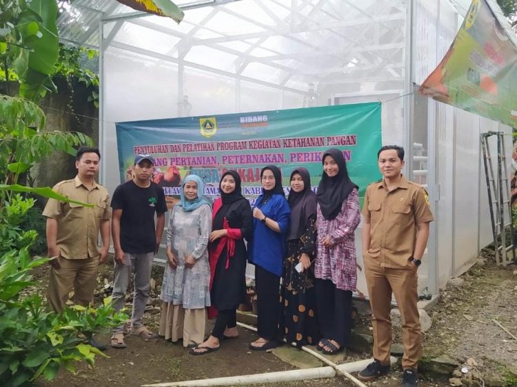 Desa Sukajaya Alokasikan 20 Persen Dana Desa Untuk Ketahanan Pangan