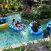 The Jungle Exist di Ulang Tahun Yang ke 15