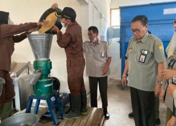 Bagian Dari Teaching Factory, Polbangtan Kementan Resmikan Pabrik Pakan Ternak