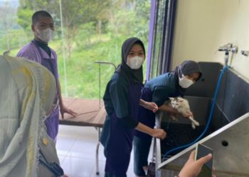 Keren! Polbangtan Kementan Buka Klinik Hewan Lengkap dengan  Fasilitas Pet Hotel dan Grooming