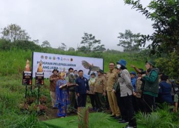 Taman Safari Bogor dan KLHK Lepasliarkan Jelita dan Parama