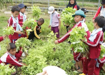 Eduwisata, Sarana Polbangtan Kementan Giatkan Konsumsi Buah dan Sayur Lokal