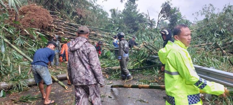 TPT Setinggi 4 Meter Longsor, Jalan Alternatif ke Cigombong Terputus 
