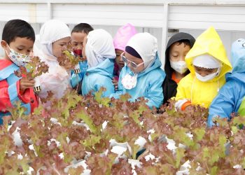 Lewat Agroeduwisata, Polbangtan Kementan Kenalkan Tanaman Organik Sejak Usia Dini