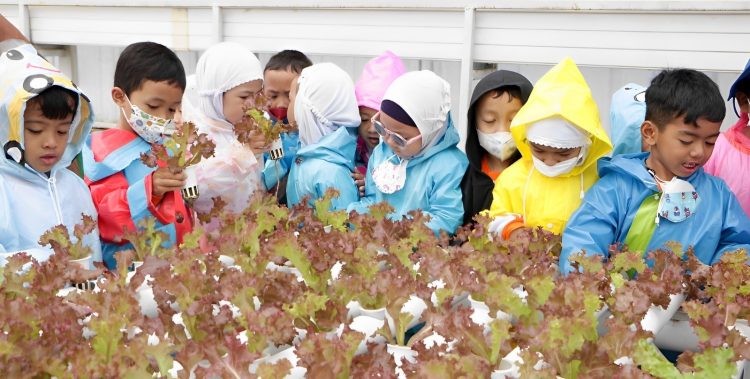 Lewat Agroeduwisata, Polbangtan Kementan Kenalkan Tanaman Organik Sejak Usia Dini