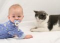 Balita Bermain Dengan Binatang Peliharaan, Amankah?