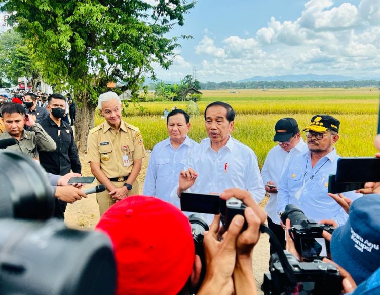 Saat Presiden Jokowi Panen Bersama Menteri Pertanian di Kebumen