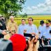 Saat Presiden Jokowi Panen Bersama Menteri Pertanian di Kebumen