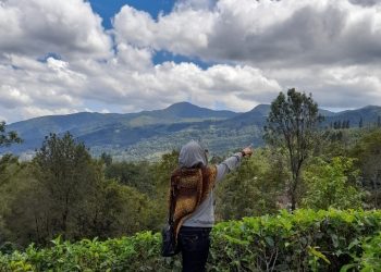 Manjakan Mata, Menjelajahi Sejuknya Gunung Mas Puncak yang Indah dan Asri
