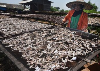 KKP Kembangkan Program VOGA dan SFV Kawal Ekonomi Biru