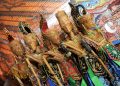 Unik dan Tak Biasa, Mengenal Kesenian Bogor yang Indah Bersejarah