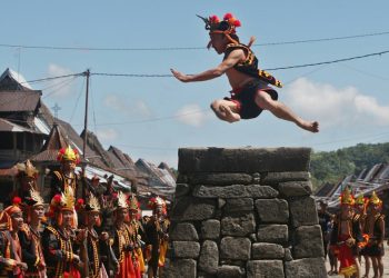 Lompat Batu, Tradisi Budaya Nias yang Mendunia