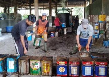 Drastis! Produksi Cingcau Menurun, Bahan Baku Melimpah Pesanan Berkurang 