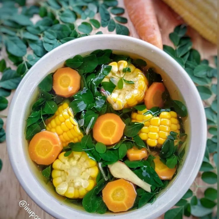 Wajib Dicatat! Daun Kelor, Kaya Nutrisi dan Antioksidan