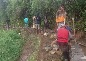 Dukung Kedaulatan Pangan Nasional, P3-TGAI Gerakkan Sektor Strategis Ekonomi Domestik