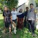 7 Ekor Kambing Nyasar, Ditemukan di Sekitaran Pemukiman Warga