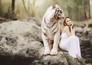 Ngeri! Weton Ini Dilindungi Khodam Macan Putih, Gigih dan Tegas