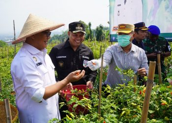 Melalui Kegiatan Boling, Iwan Setiawan Sapa dan Dengarkan Aspirasi Masyarakat