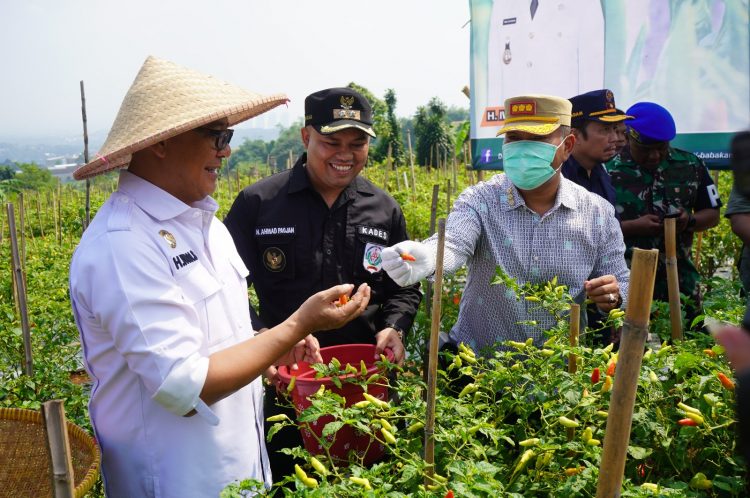 Melalui Kegiatan Boling, Iwan Setiawan Sapa dan Dengarkan Aspirasi Masyarakat