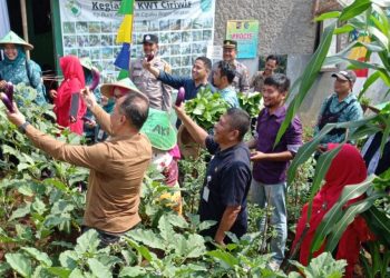 Keren! Kelurahan Cipaku Wakili Kota Bogor di Ajang Lomba Pemanfaatan Lahan Pekarangan Tingkat Provinsi Jabar