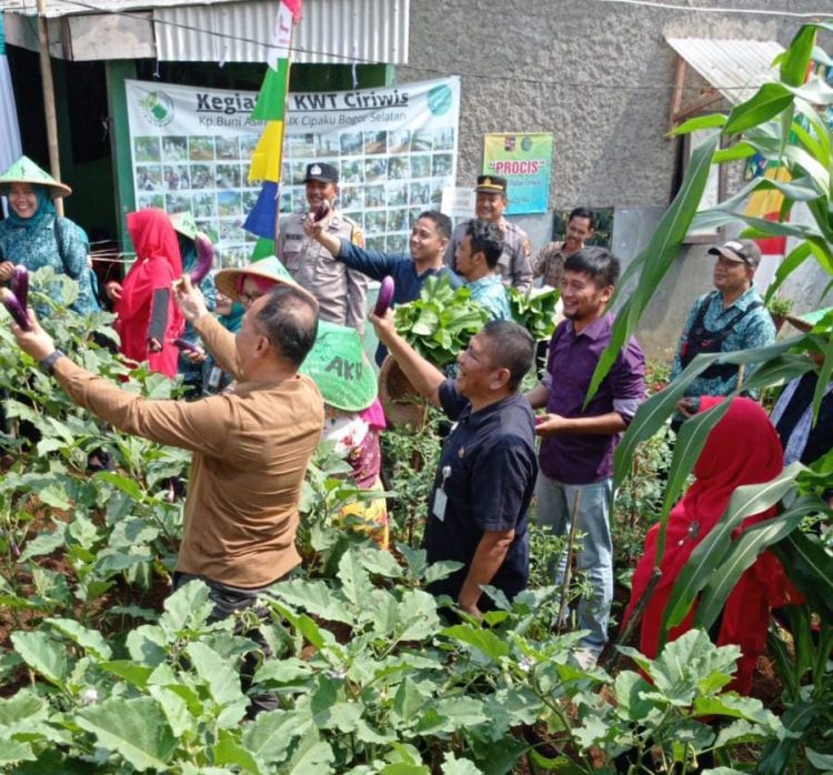 Keren! Kelurahan Cipaku Wakili Kota Bogor di Ajang Lomba Pemanfaatan Lahan Pekarangan Tingkat Provinsi Jabar