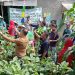 Keren! Kelurahan Cipaku Wakili Kota Bogor di Ajang Lomba Pemanfaatan Lahan Pekarangan Tingkat Provinsi Jabar