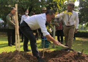 Gawat! BRIN Sebut 1.070 Tanaman Terancam Punah di Hari Keanekaragaman Hayati Sedunia