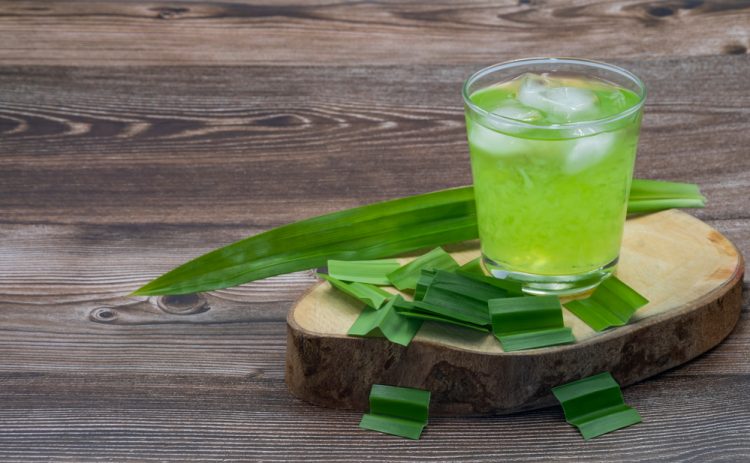Daun Pandan, Bikin Minuman Enak Harum dan Berkhasiat untuk Tubuh