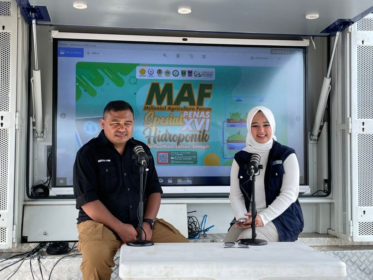 Hidroponik, Solusi Sukses Berbisnis Sayur di Lahan Sempit