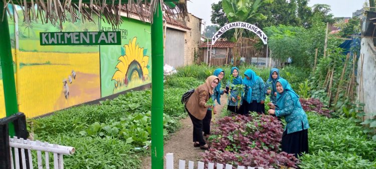Desa Sukamaju Masuk Lima Besar Lomba Desa Tingkat Provinsi