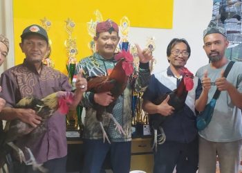 Meriahkan HJB ke-541, KPP Bogor Akan Gelar Perlombaan Ayam Pelung Walikota Cup