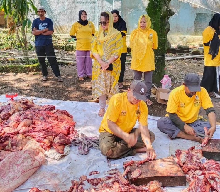 Sambut Hari Raya Idul Adha 1444 H, MDC Serahkan Hewan Qurban