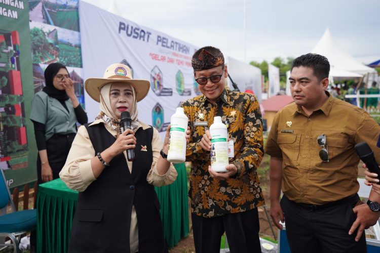 Nyata! Antisipasi Perubahan Iklim Kementan Terapkan Pertanian Modern Smart Farming